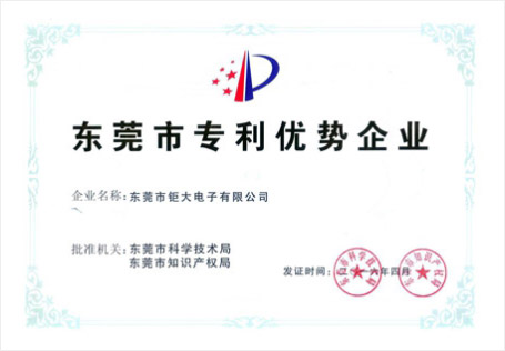 东莞市专利优势企业