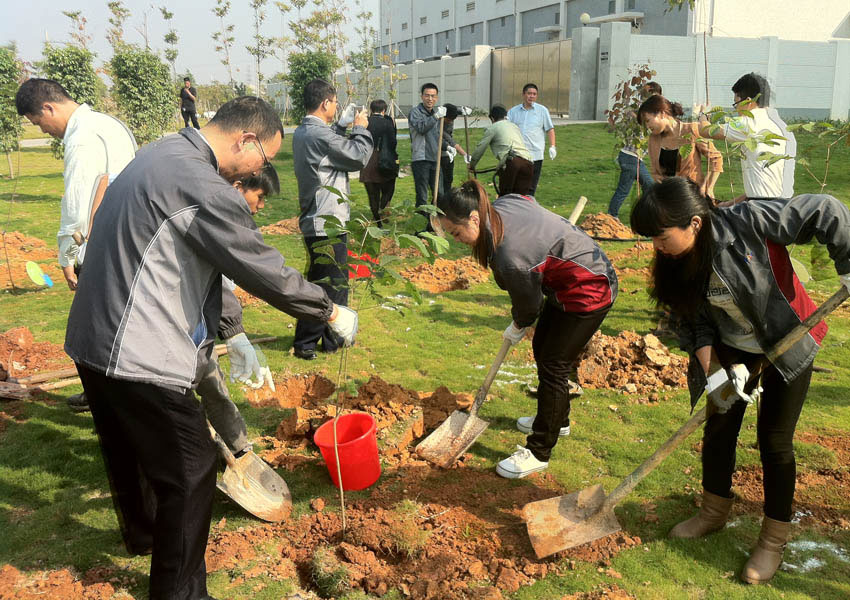 我司参加东莞天安数码城植树活动