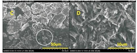 editor1525426973213596.jpeg u=93277350,1171473910&fm=173&s=4F84EC09D88190411E21B007010030C1&w=482&h=187&img.JPEG