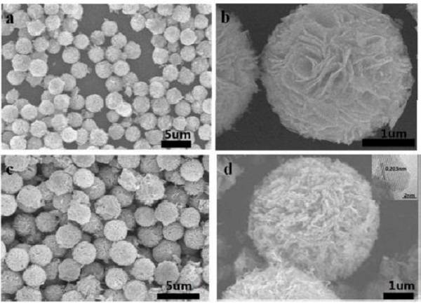 editor1525951812241643.jpg 捕获2.jpg