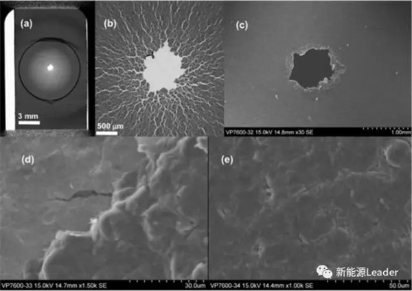 editor1526295451258642.jpg 5.jpg