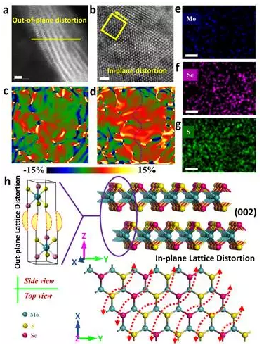 editor1530290069995252.png 1.png