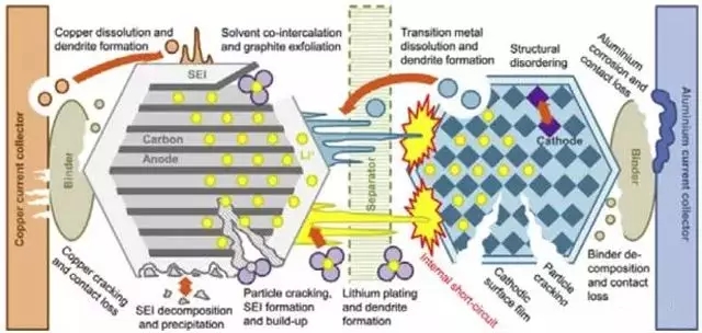 editor1530603825588520.jpg 1.jpg