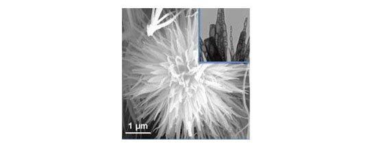 editor1532358629571624.jpg 1.jpg