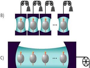 editor1549423234267243.jpg 1.jpg