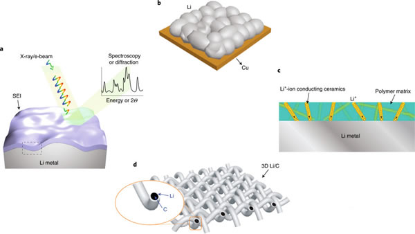 editor1551622610736593.jpg 044.jpg