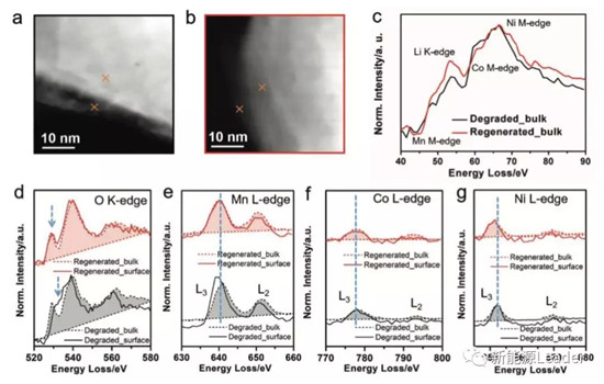 editor1558943948295875.jpg 0606.jpg