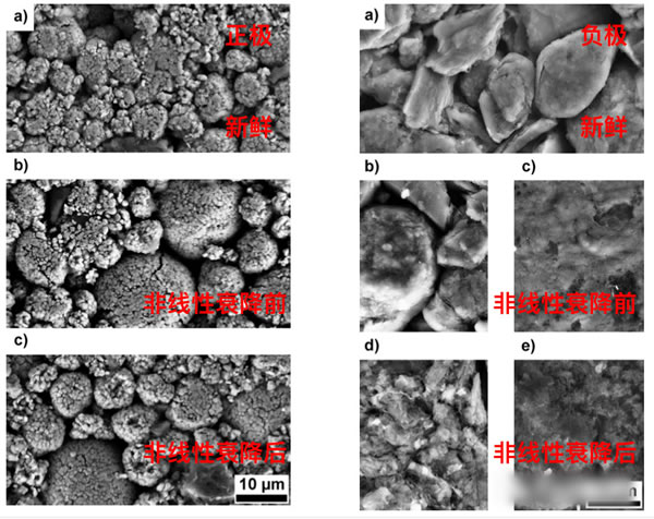 editor1559705860749334.jpg 201903191352_18021400.jpg