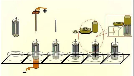 editor1594973823248907.jpg 9.jpg