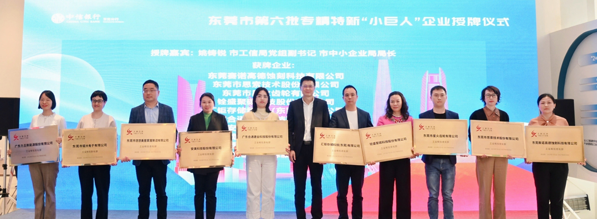 钜大锂电荣获国家级专精特新“小巨人”企业称号